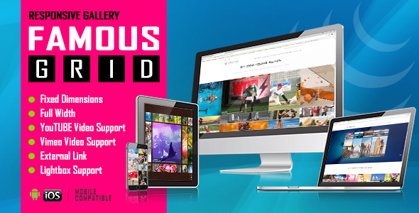 Famous – Responsive Image And Video Grid Gallery