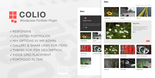 Colio Review: Responsive Portfolio WordPress